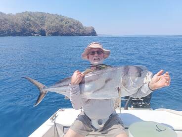 Roosterfish in action