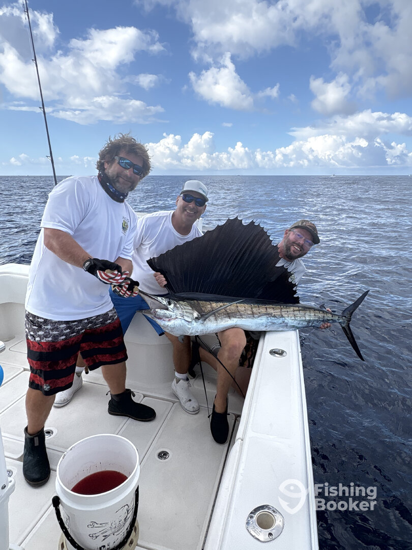 Sail on the troll at the humps! 