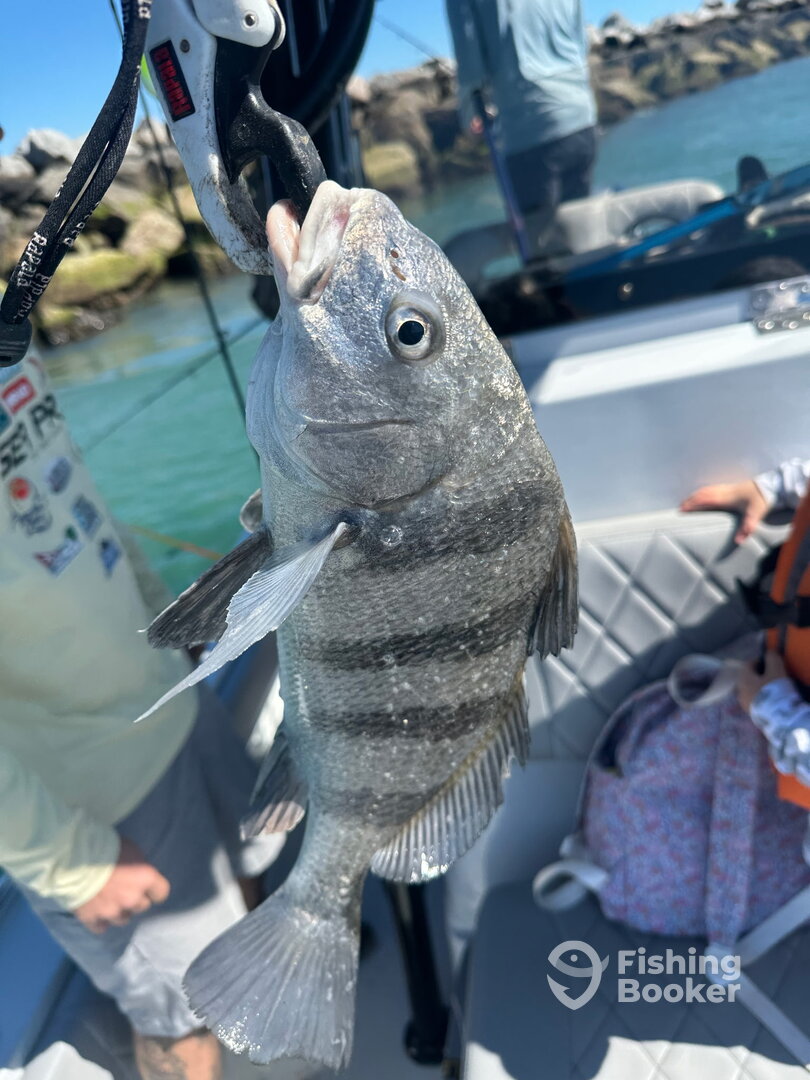 Murrells Inlet Report Photo 0