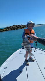 Murrells Inlet Report Photo 2