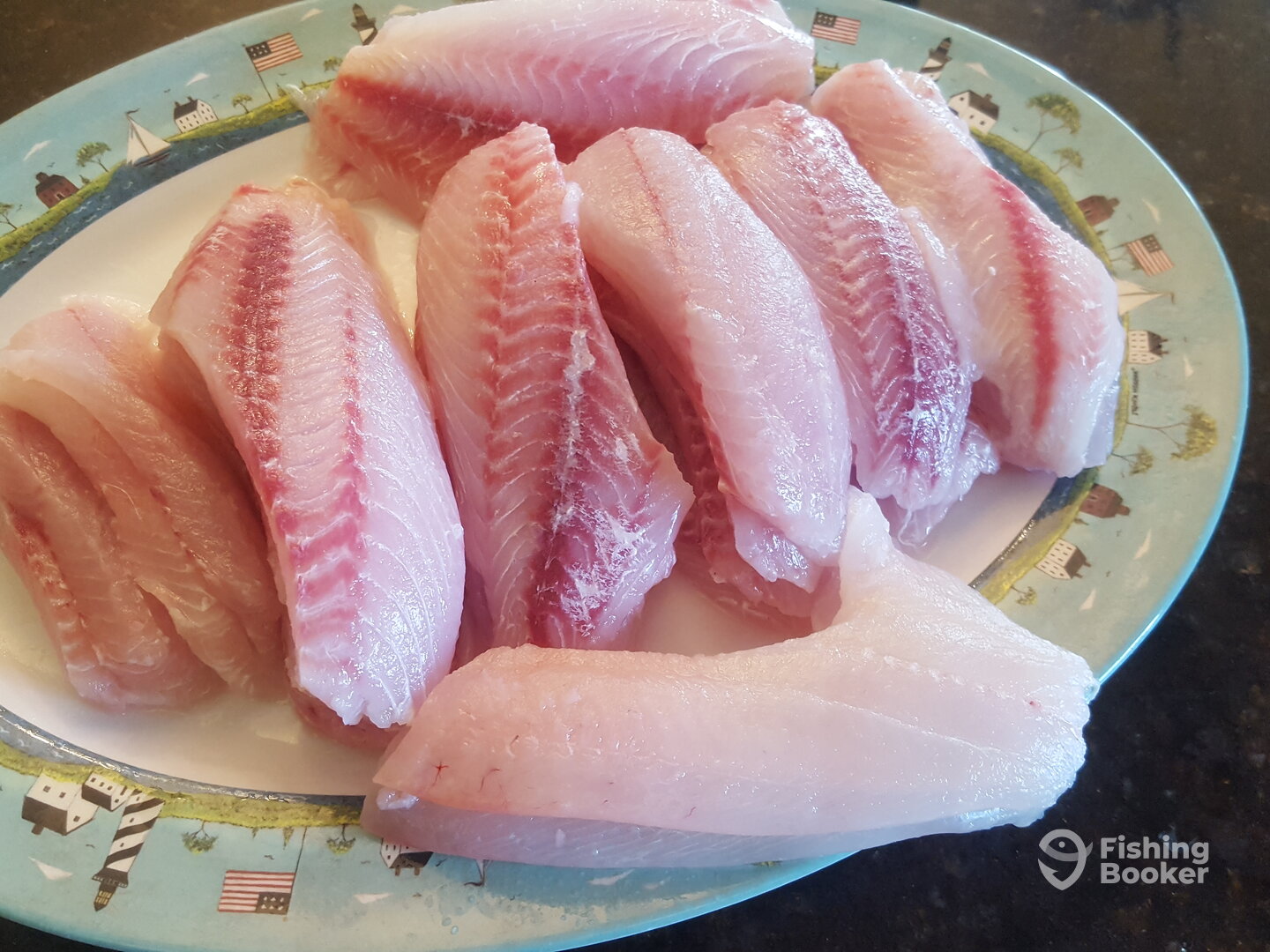 Bay Pines Report Photo 0