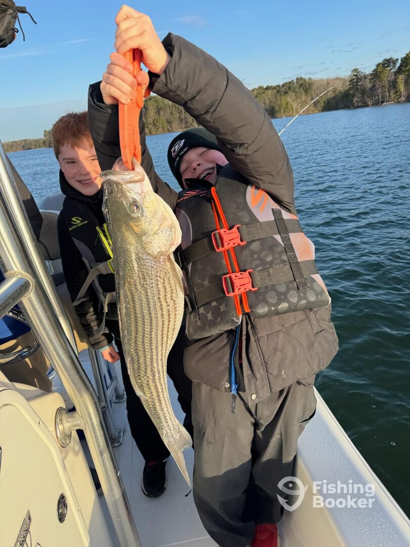 Gainesville Report Photo 0