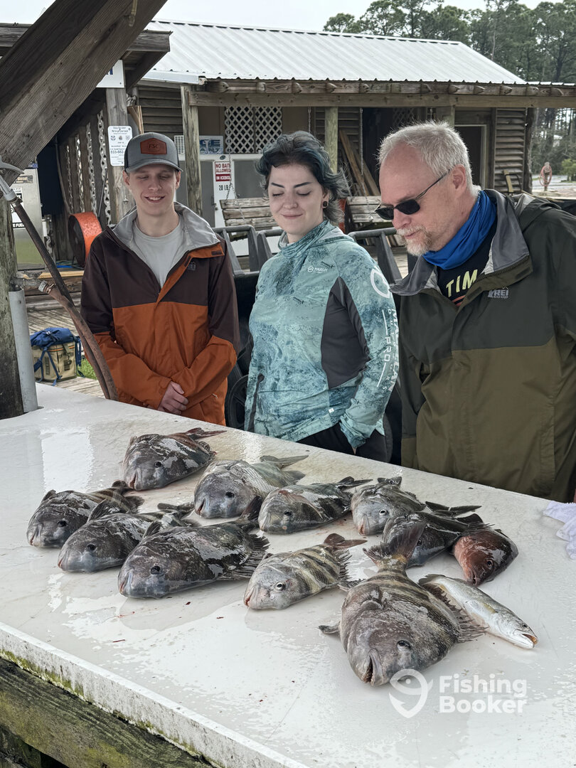 Gulf Shores Report Photo 0