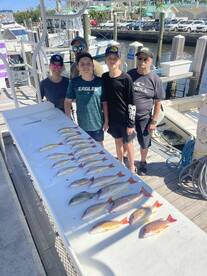 20 Snapper in 2 Hours!