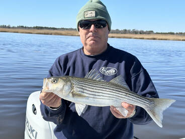 Somers Point Report Photo 1