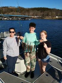 Branson Report Photo 2