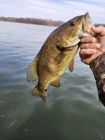 Middletown Report Photo 2