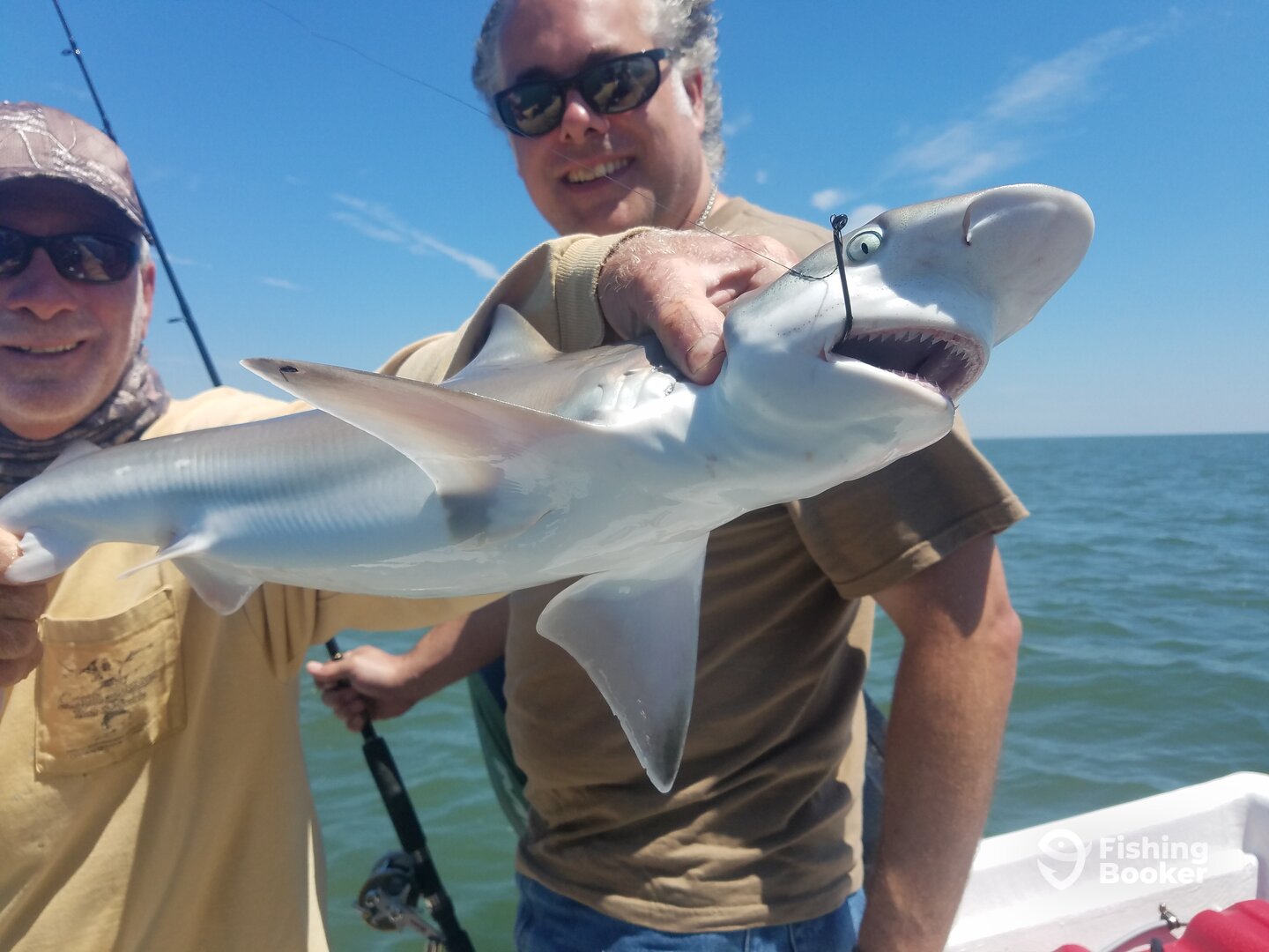 Chincoteague Report Photo 0