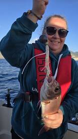 Machico Report Photo 2