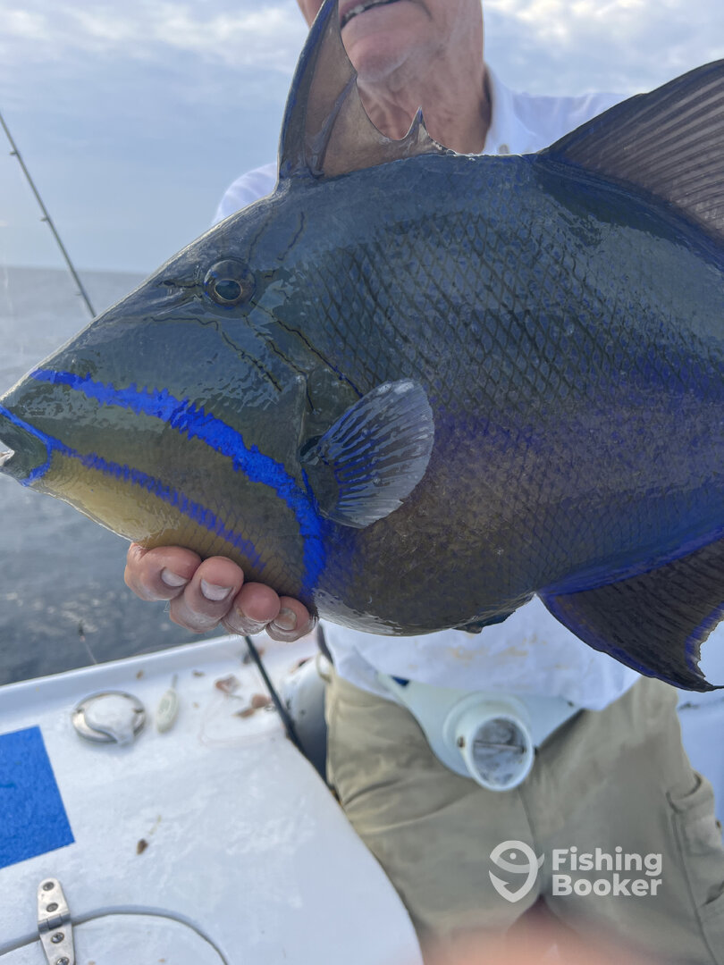 Panama City Beach Report Photo 0