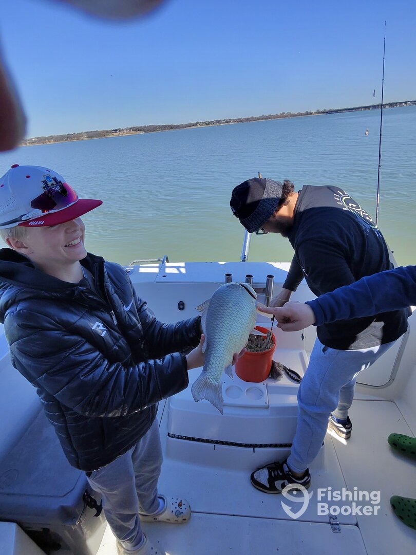 Little Elm Report Photo 0