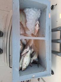 February 27th Fishing Report