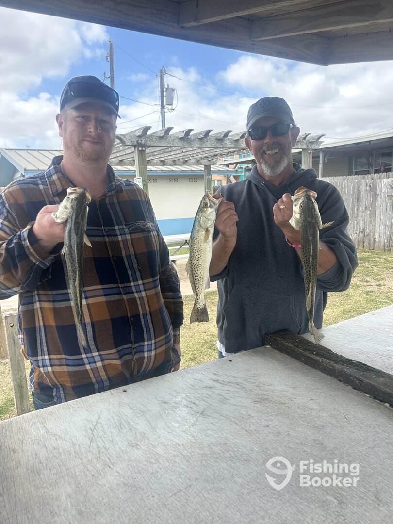 Port Isabel Report Photo 0