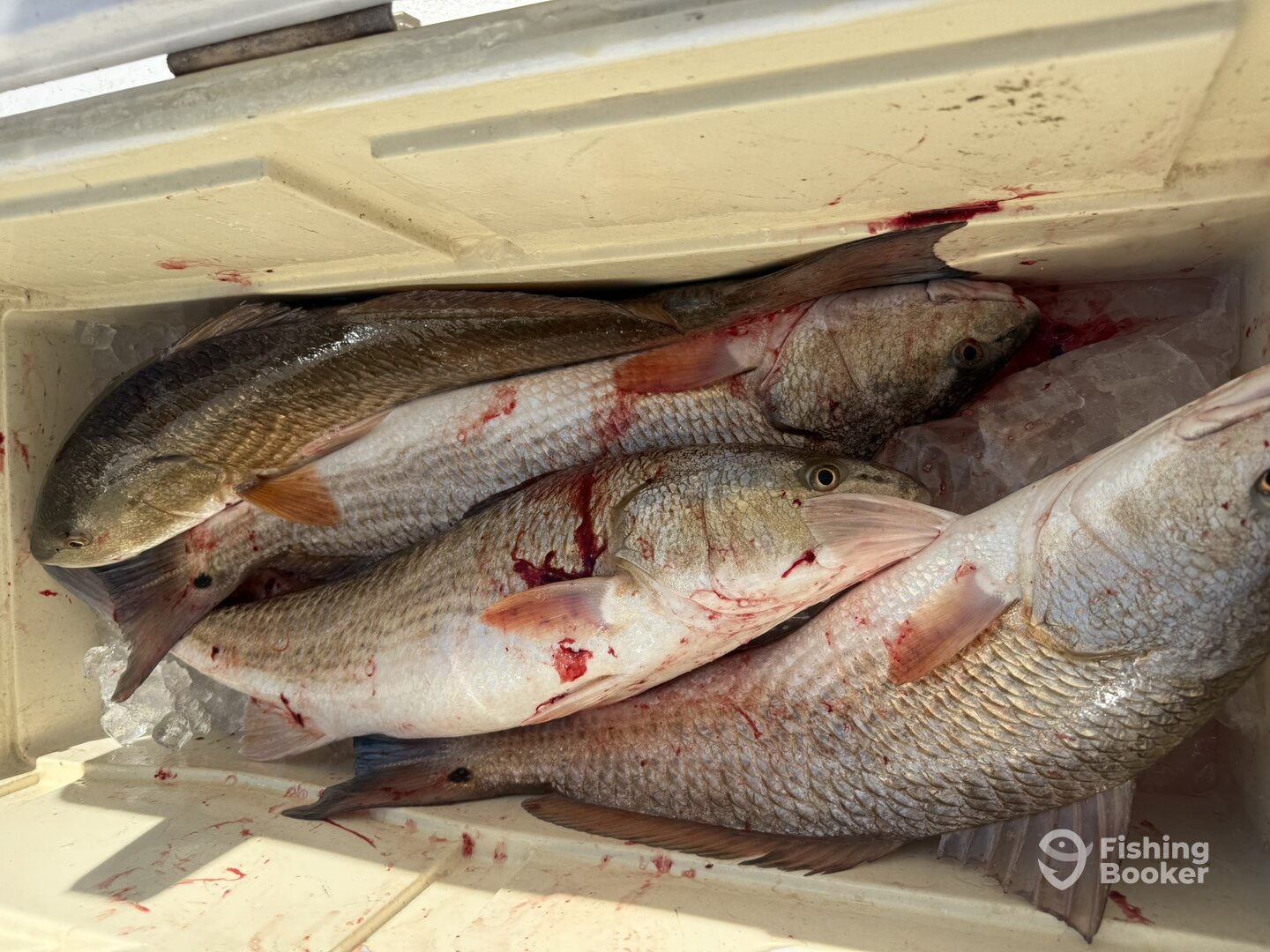 Bolivar Peninsula Report Photo 0