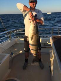 Montauk Report Photo 1