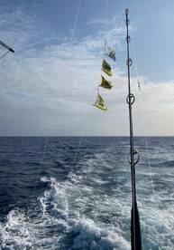 Puerto Aventuras Report Photo 1