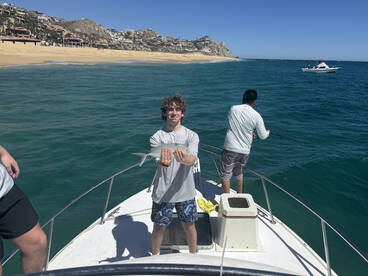 Roosters andespanish macrel  all day lon