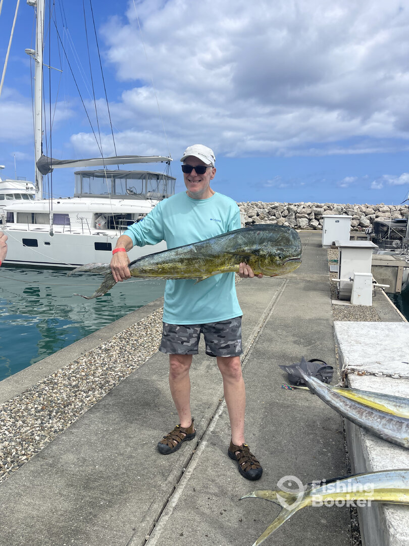 Puerto Plata Report Photo 0