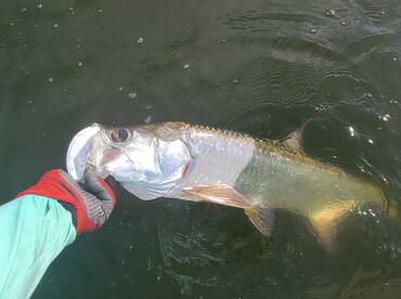 San Juan Report Photo 1