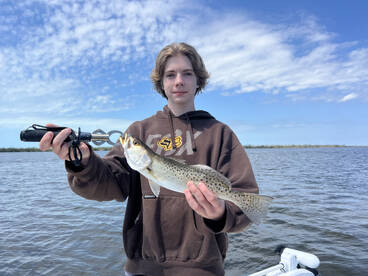 Bite is heating up ! 