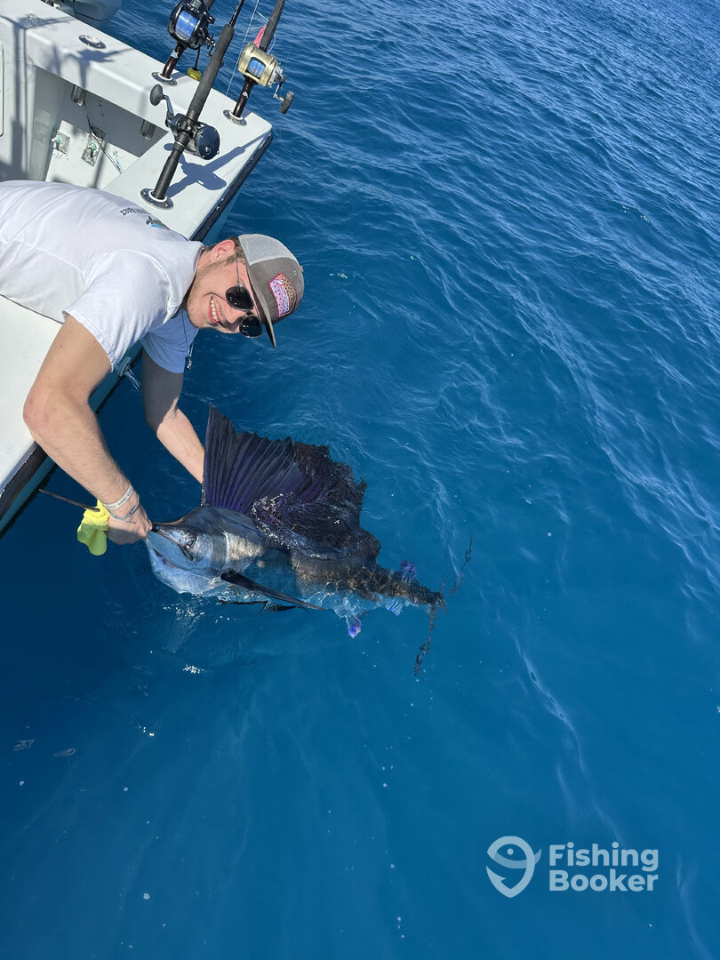 Fort Lauderdale Report Photo 0