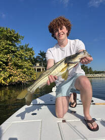 Jupiter Report Photo 2