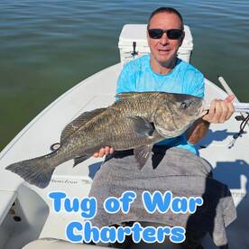 Tug Of War!!! Tug on it!!!