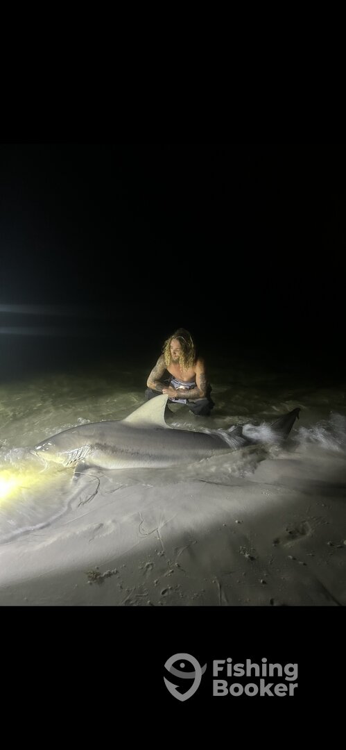 Destin Report Photo 0