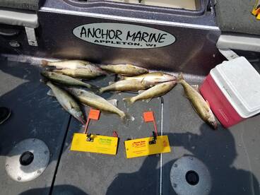 Kaukauna Report Photo 2