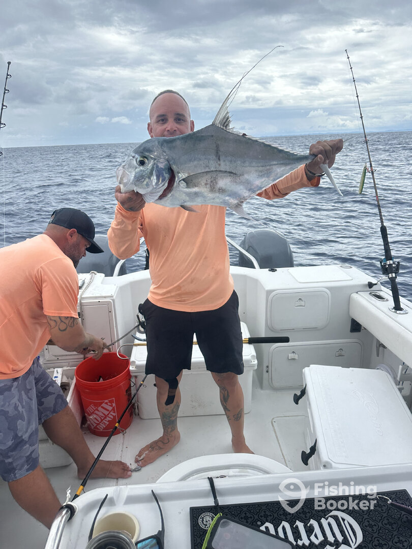 Fajardo Report Photo 0