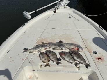 Fort Morgan Report Photo 2