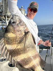 Sheepshead 