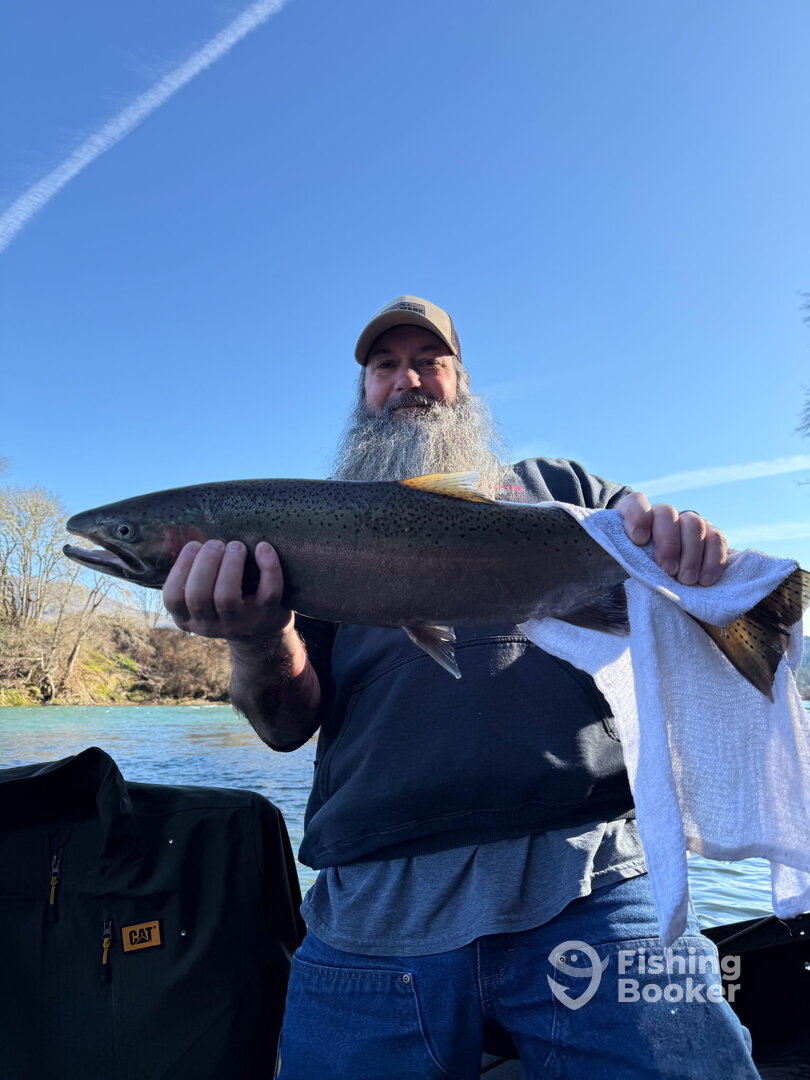 Winter Steelhead North Umpqua