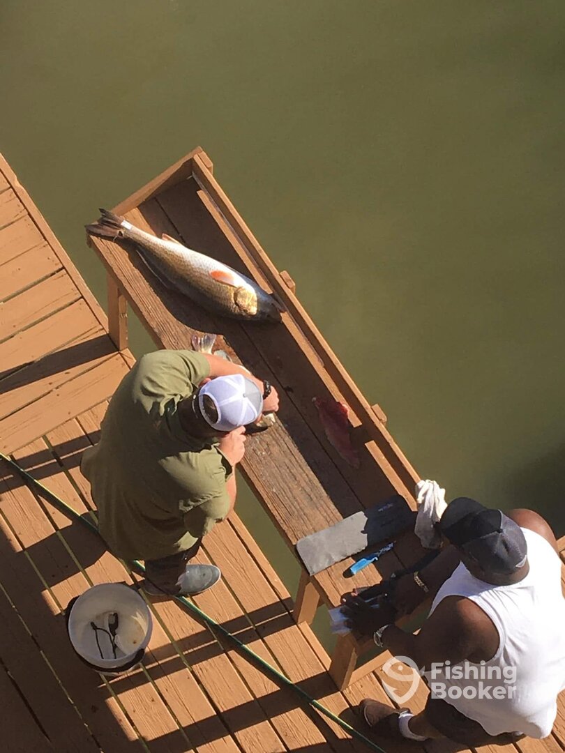 Houston Report Photo 0