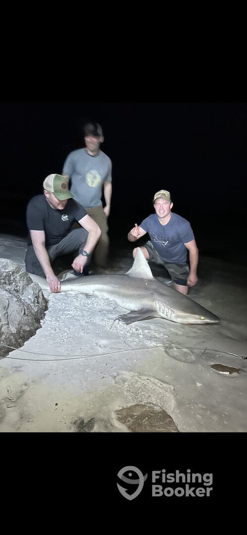 Destin Report Photo 0