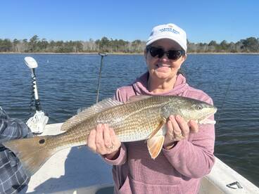 Spring Reds in Topsail Beach 