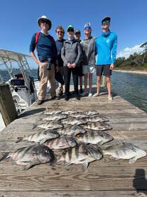 Sheepshead are here!!!! Its on ?