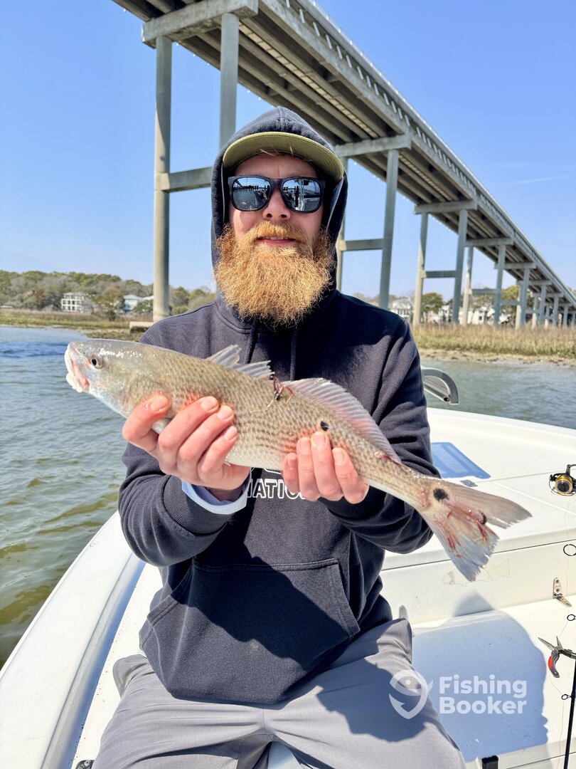 Ocean Isle Beach Report Photo 0