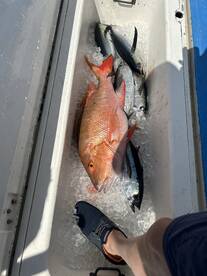 Close to shore jackpot