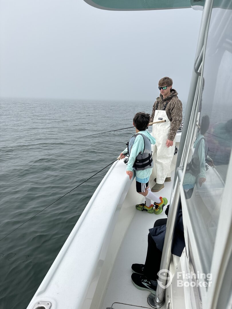 Yorktown Report Photo 0