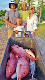 Nice cart of Big Snapper