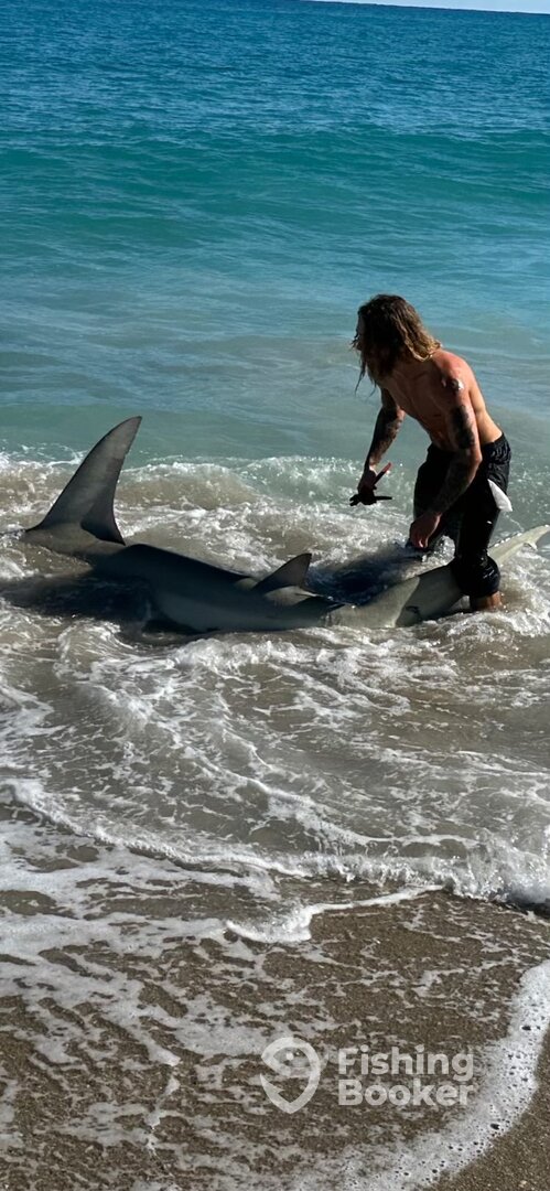 Indialantic Report Photo 0