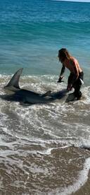 Melbourne listing open until April