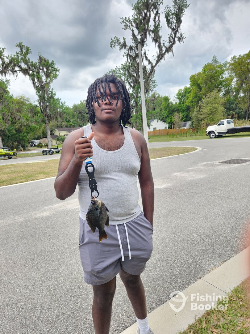 DeBary Report Photo 0