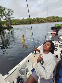 DeBary Report Photo 2