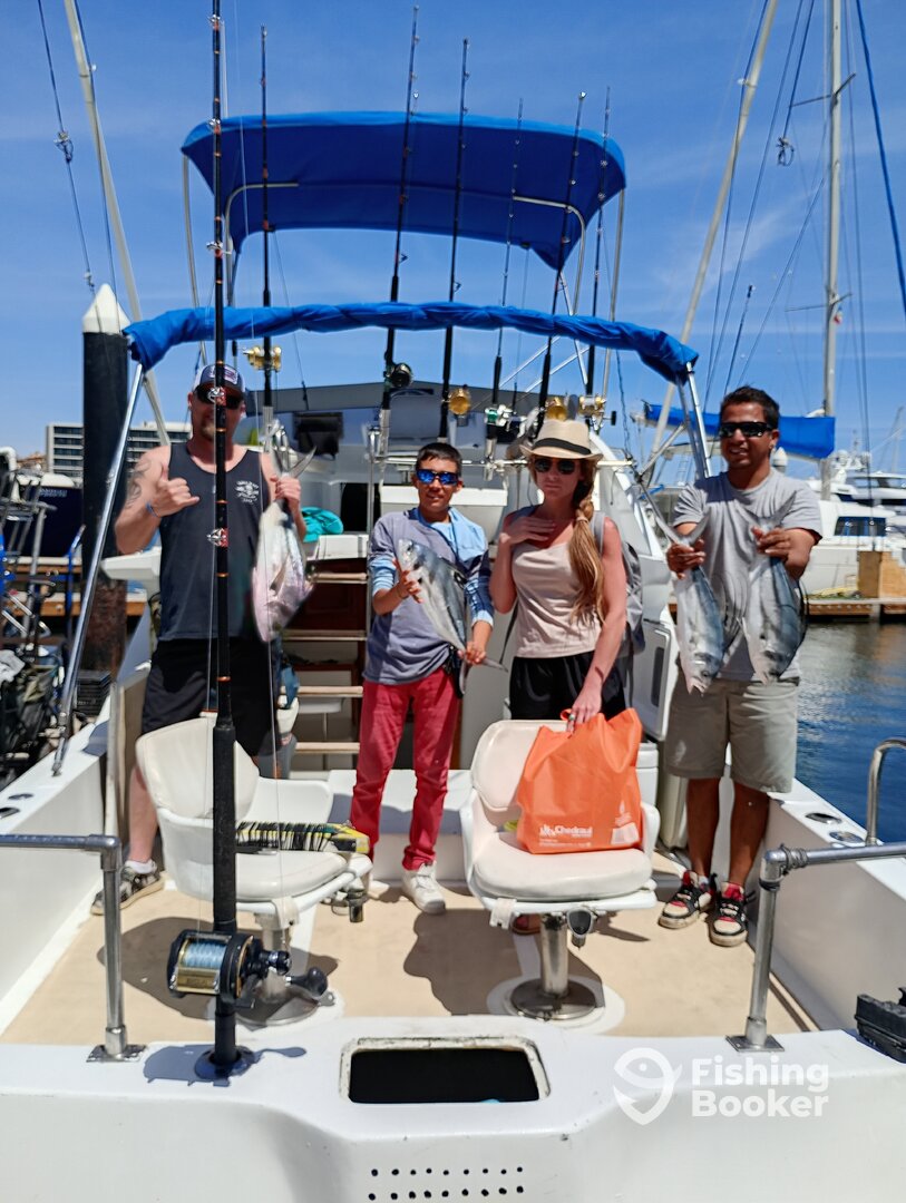 Cabo San Lucas Report Photo 0