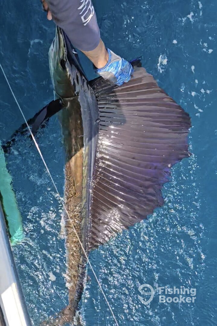 West Palm Beach Report Photo 0