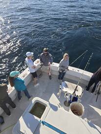 Orange Beach Report Photo 1