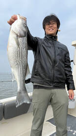 Stripers and Sturgeon HOT!!!