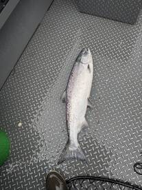 Nehalem Bay Report Photo 2